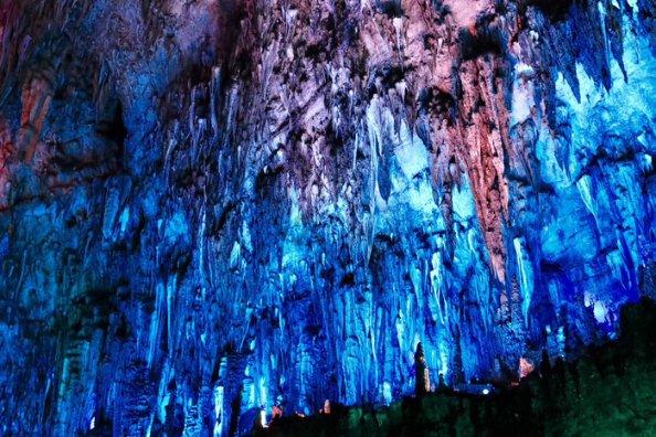 “大美湿地”扮靓“美丽岳阳”！岳阳擦亮“国际湿地城市”品牌